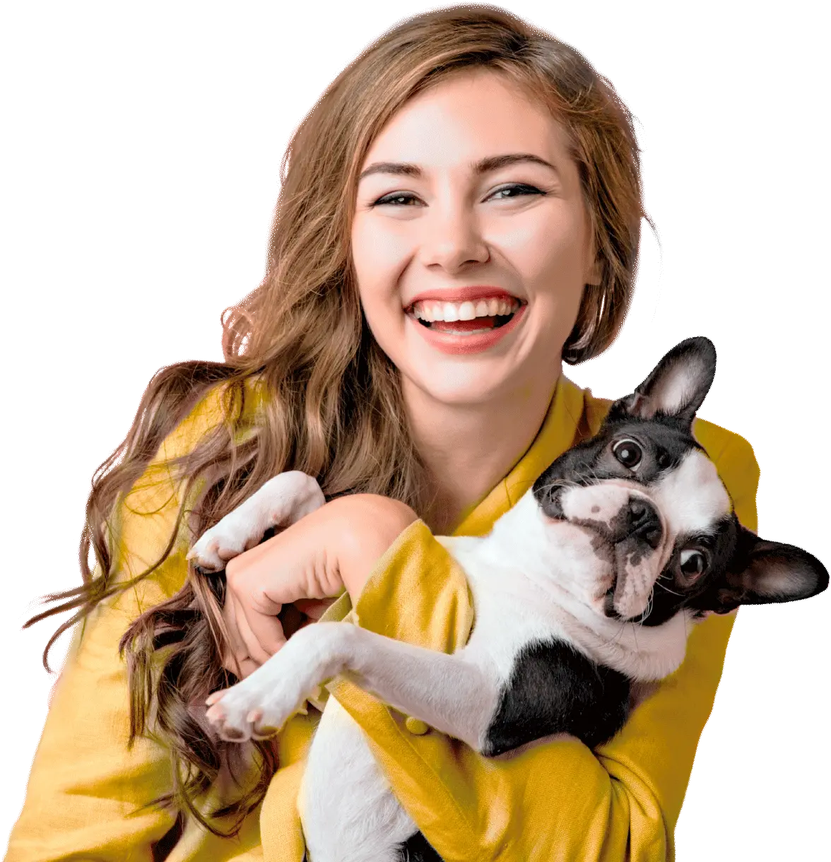 M. V. Giselli Capareli - Dermatologia veterinária