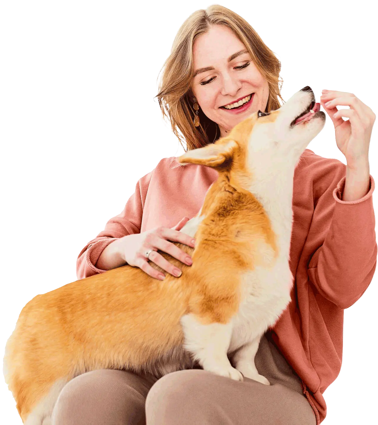 M. V. Giselli Capareli - Dermatologia veterinária